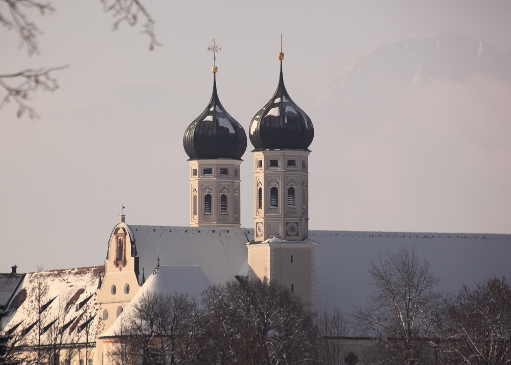 Basili-Storch IMG 4564