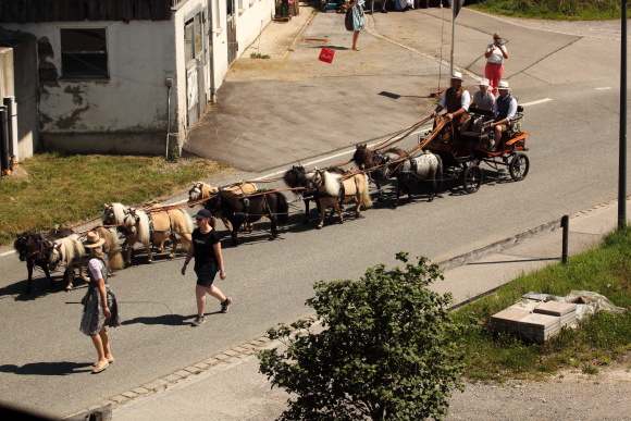 und dahinter gleich das Gespann mit den Zwergponnys